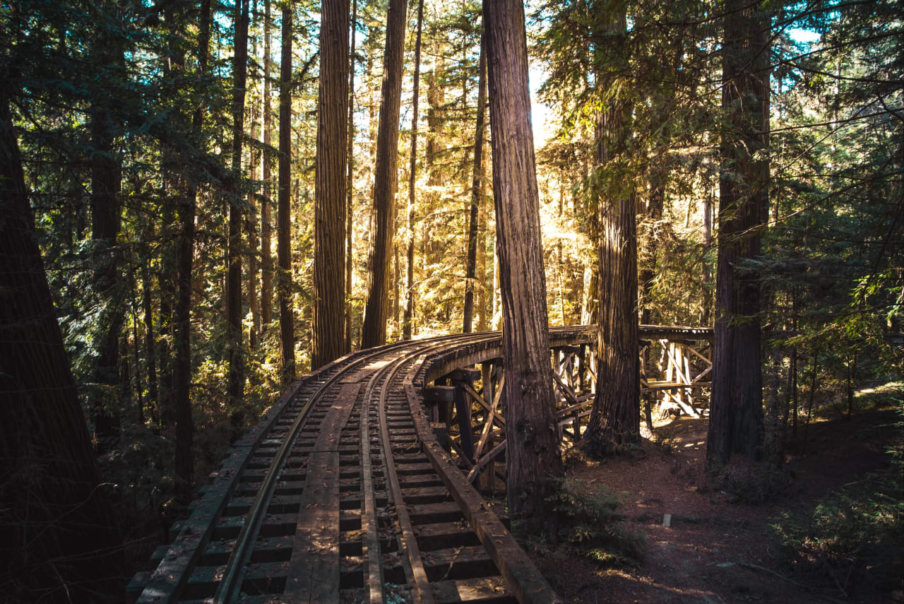 FELTON inception-app-prod/MzNhYTIwZTEtOWI0MC00ODk3LWFjODAtYmZhOTNmNmUxNjVj/content/2020/08/casey-horner-t1uvycb6vp4-unsplash.jpg