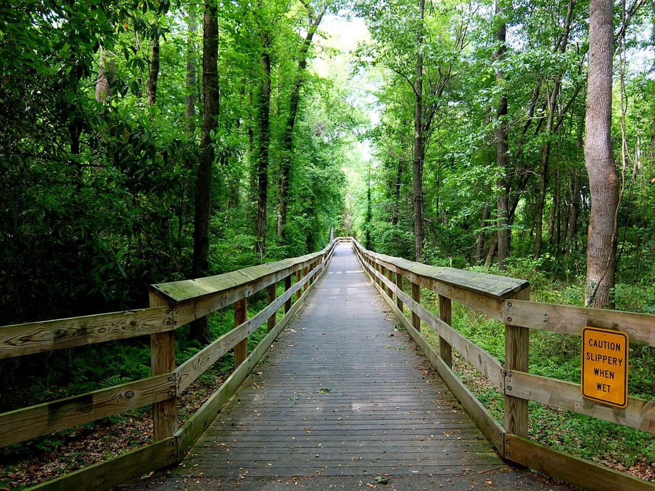 Cape Fear River Trail inception-app-prod/Mzg1ZDk1NjAtYWRjZS00YmQ4LWIwMDctZTE3Y2Y3YWU3MWNj/content/2021/09/capefearrivertrail.jpg