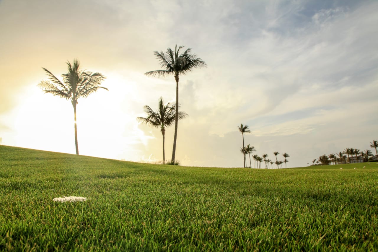 North Palm Beach inception-app-prod/N2UzZDljZWEtMmI5NS00Mjc5LWJhYWUtODcyMTJjZDAzODJj/content/2020/09/james-lewis-vthveujtc-u-unsplash.jpg