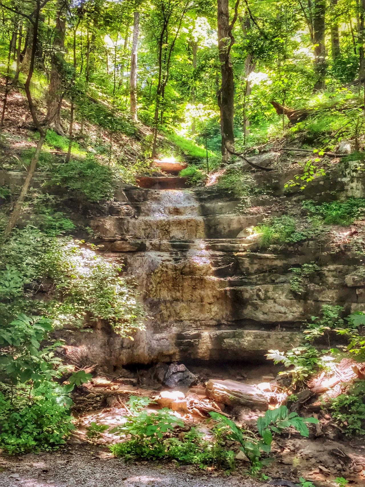 Maryland Heights inception-app-prod/N2ZlZTRlMzYtMzk5Zi00MjE2LWExNjgtYWU0YThkNTBmZjhm/content/2016/05/11224544_10155917691335243_3062210106485656025_o.jpg