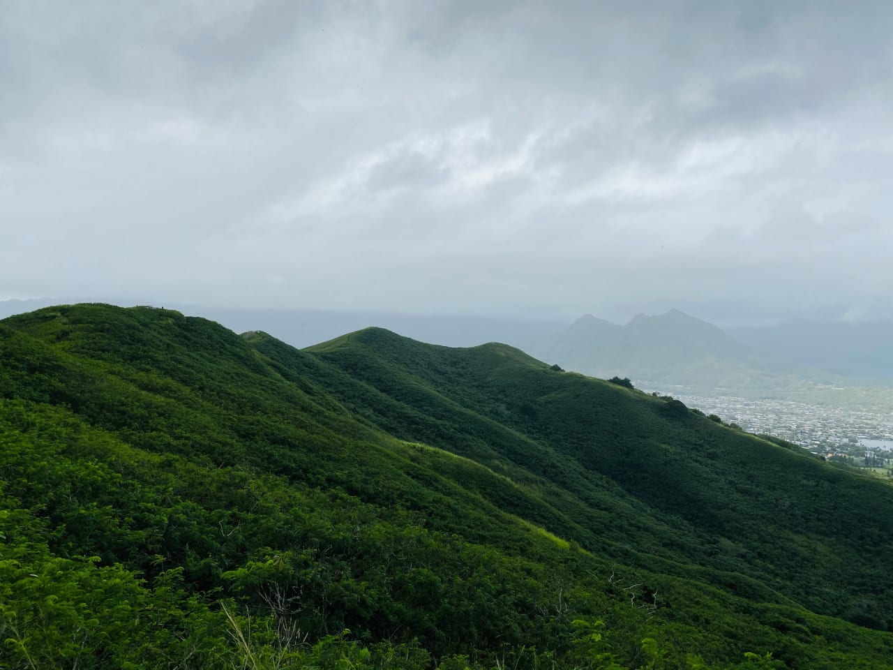 Windward Oahu - Luxury homes inception-app-prod/NTM1NjJhNmYtNjQ5Yy00ZGEzLWE4MWItZTIzOTAyZmZmMDU5/content/2021/09/ava-w-7UX0GpI7VNw-unsplash.jpg