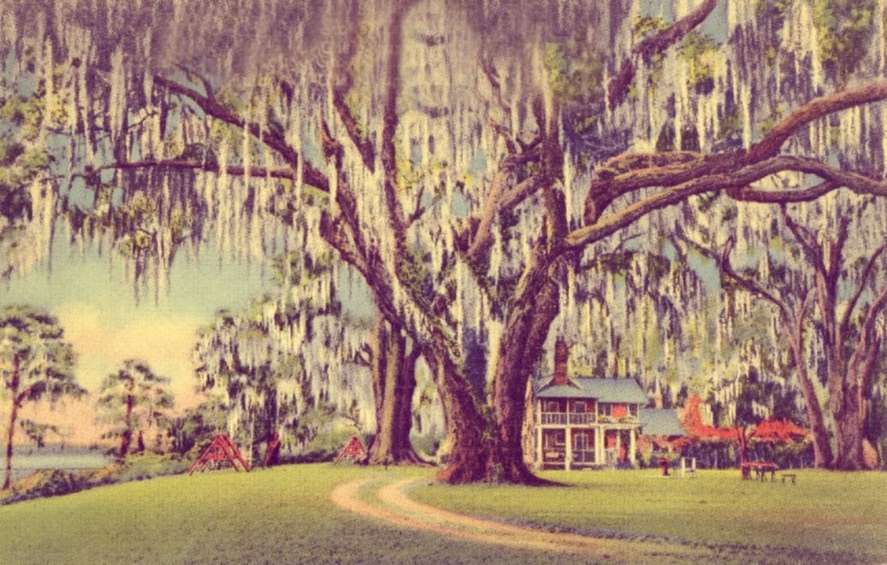 Mandarin inception-app-prod/NjQzZWI1MGYtMjg5My00ZDRjLTkzODQtMWI2ZTc2ZjgyNDAz/content/2021/06/floridas-largest-live-oak-mandarin-1939.jpg