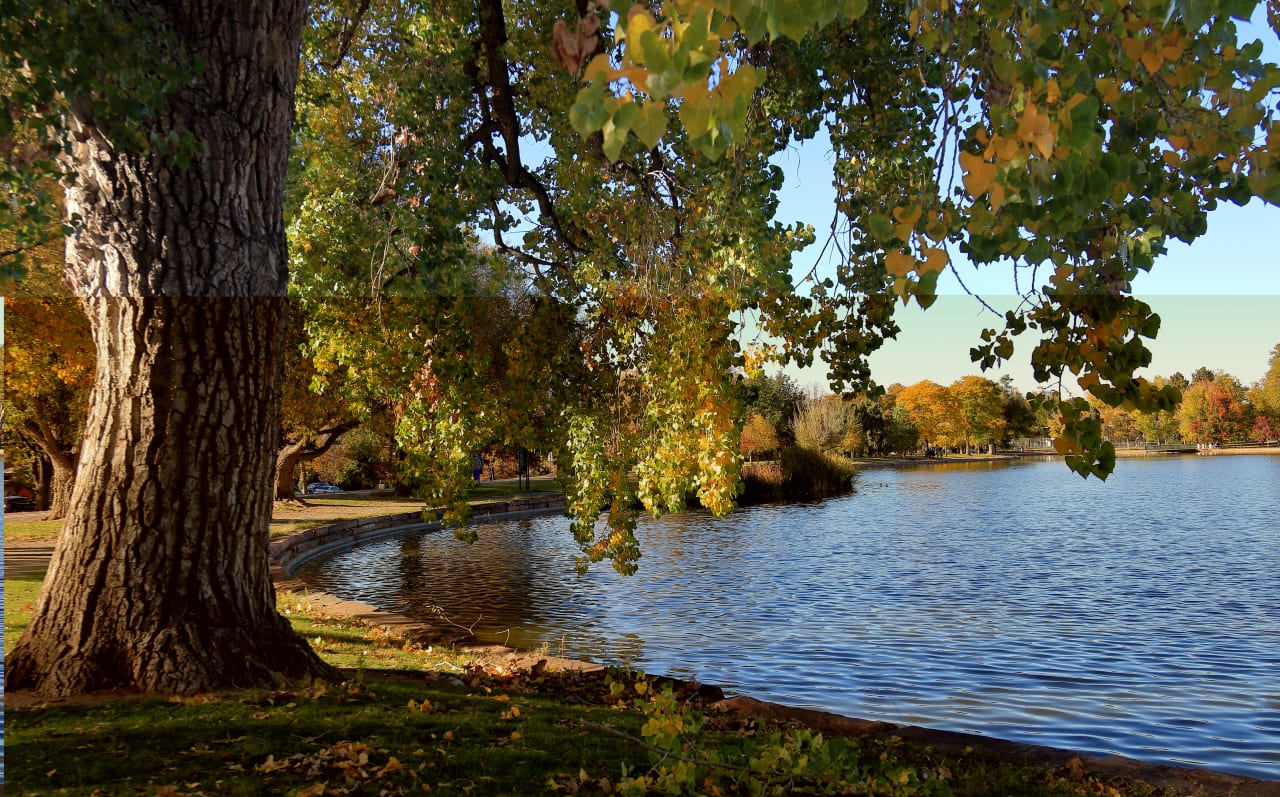 Wash Park West inception-app-prod/NmFmNWQwNWItNGFiOS00YmZhLWFmMzQtMGI5NmU5OWU3OGEy/content/2021/11/c6ad03111584e888d9a1762cc659806894f6df23.jpg