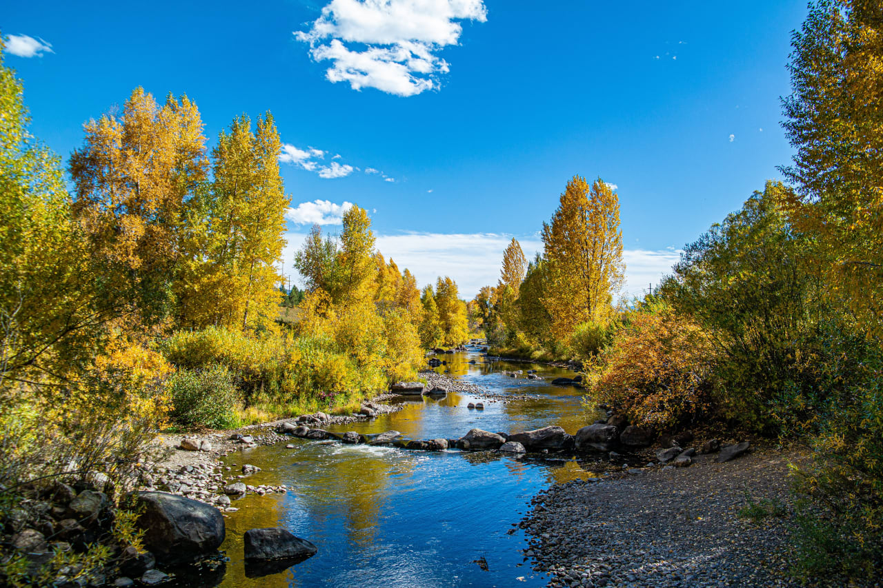 Silver Springs Area inception-app-prod/NzI2YTAzNWMtNTU5Zi00ZTk4LTkyMDUtNjJmMDQ0NTVkMTky/content/2021/11/8f6425cdb24e6e1b81a2fe4da1d274f1627d7d57.png