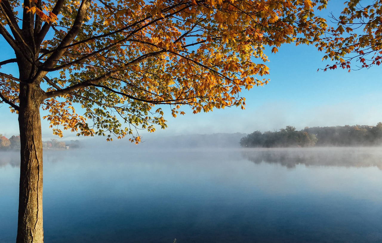 Chicopee, MA inception-app-prod/NzUzY2Y1YTMtMjgwYi00NTJkLWI5NGUtNTkxNGRhNjJkNDlh/content/2021/07/aaron-burden-pn2aVMO0lvE-unsplash.jpg