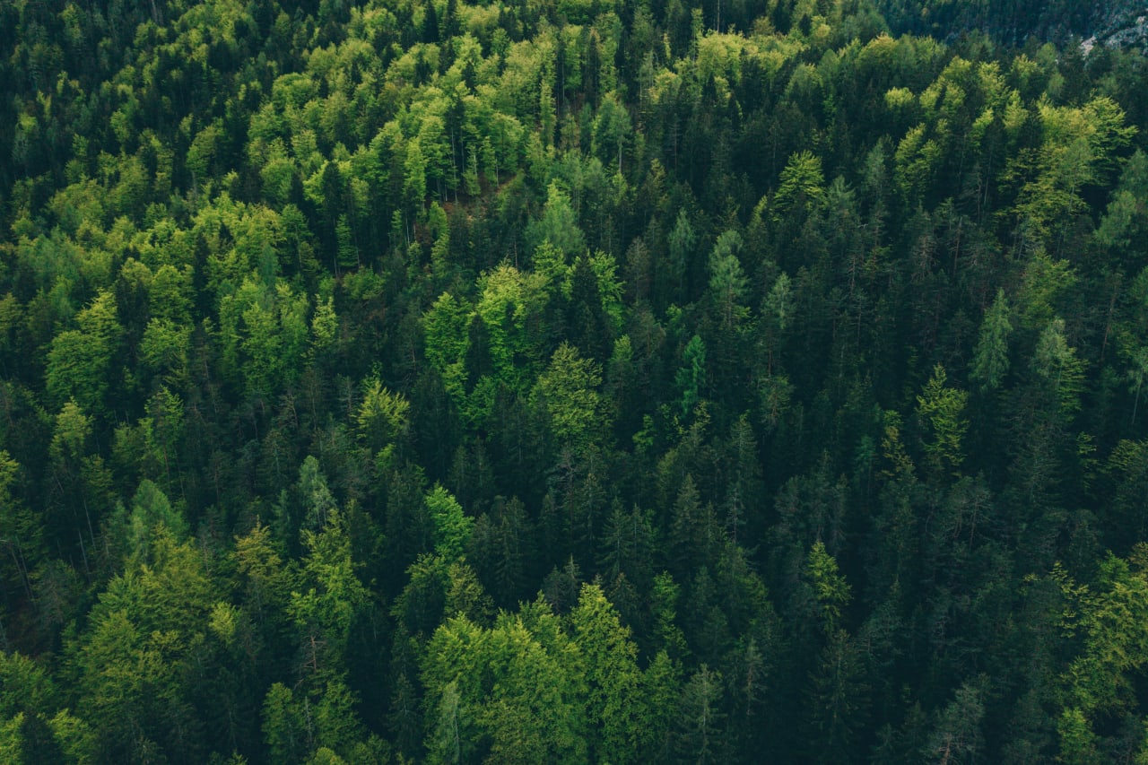 Hampden, MA inception-app-prod/NzUzY2Y1YTMtMjgwYi00NTJkLWI5NGUtNTkxNGRhNjJkNDlh/content/2021/07/adam-vradenburg-_gu7E90QChU-unsplash.jpg
