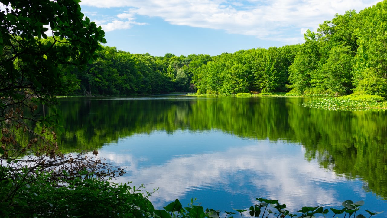 South Hadley, MA inception-app-prod/NzUzY2Y1YTMtMjgwYi00NTJkLWI5NGUtNTkxNGRhNjJkNDlh/content/2021/07/linpaul-rodney-kkKfg-mEHKo-unsplash.jpg