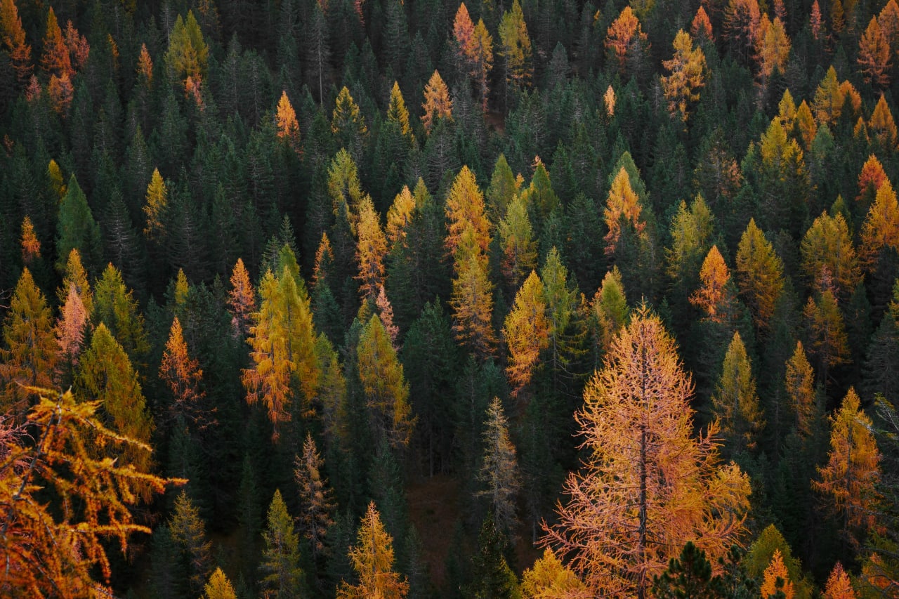 Palmer, MA inception-app-prod/NzUzY2Y1YTMtMjgwYi00NTJkLWI5NGUtNTkxNGRhNjJkNDlh/content/2021/07/luca-bravo-A-fubu9QJxE-unsplash.jpg