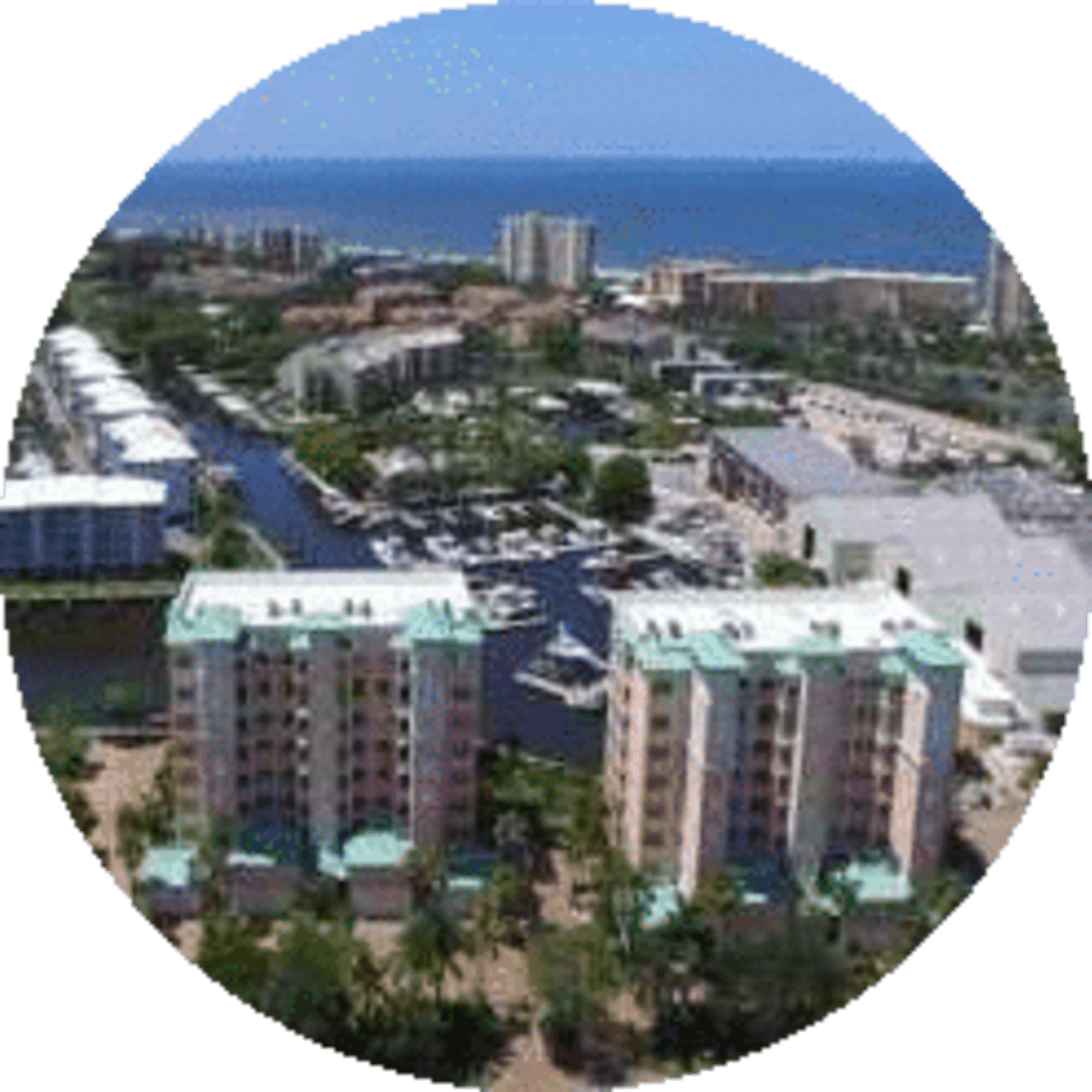 Palm Harbor Club inception-app-prod/ODZhYWY5ZGItNWFkNi00NzkzLTliMDktODZmZjBiMGM2YzIy/content/2019/01/imageedit_2_9082307428.png