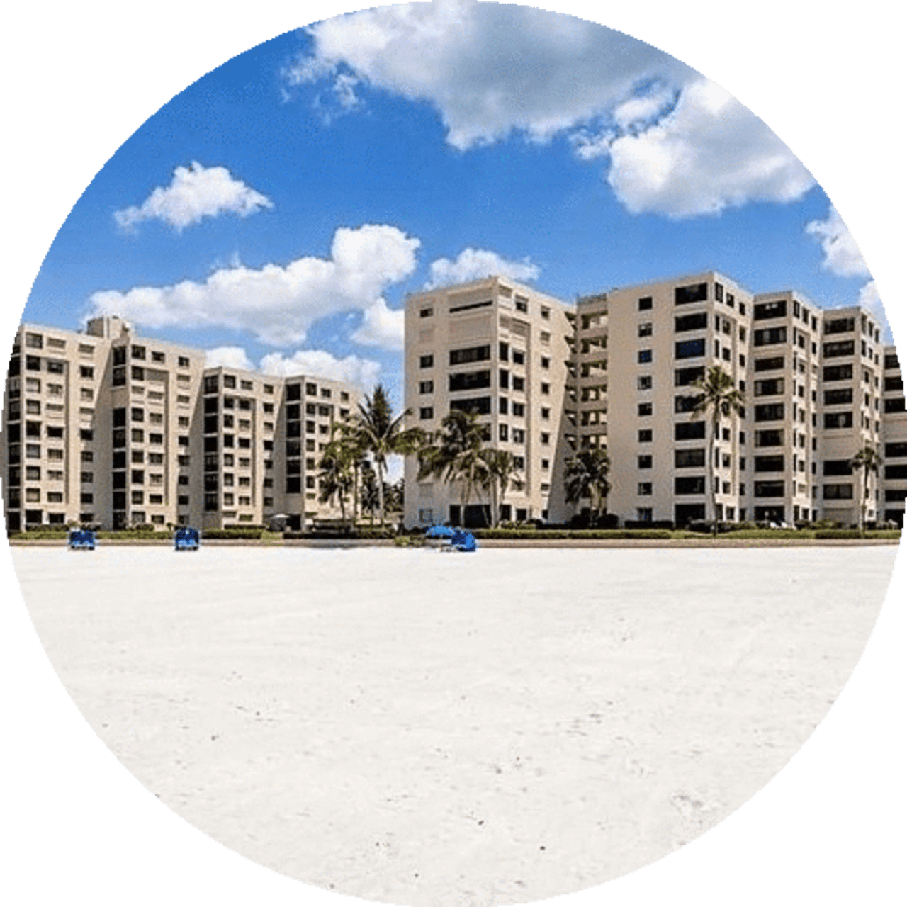 Sandarac inception-app-prod/ODZhYWY5ZGItNWFkNi00NzkzLTliMDktODZmZjBiMGM2YzIy/content/2019/01/imageedit_4_6456700995.png