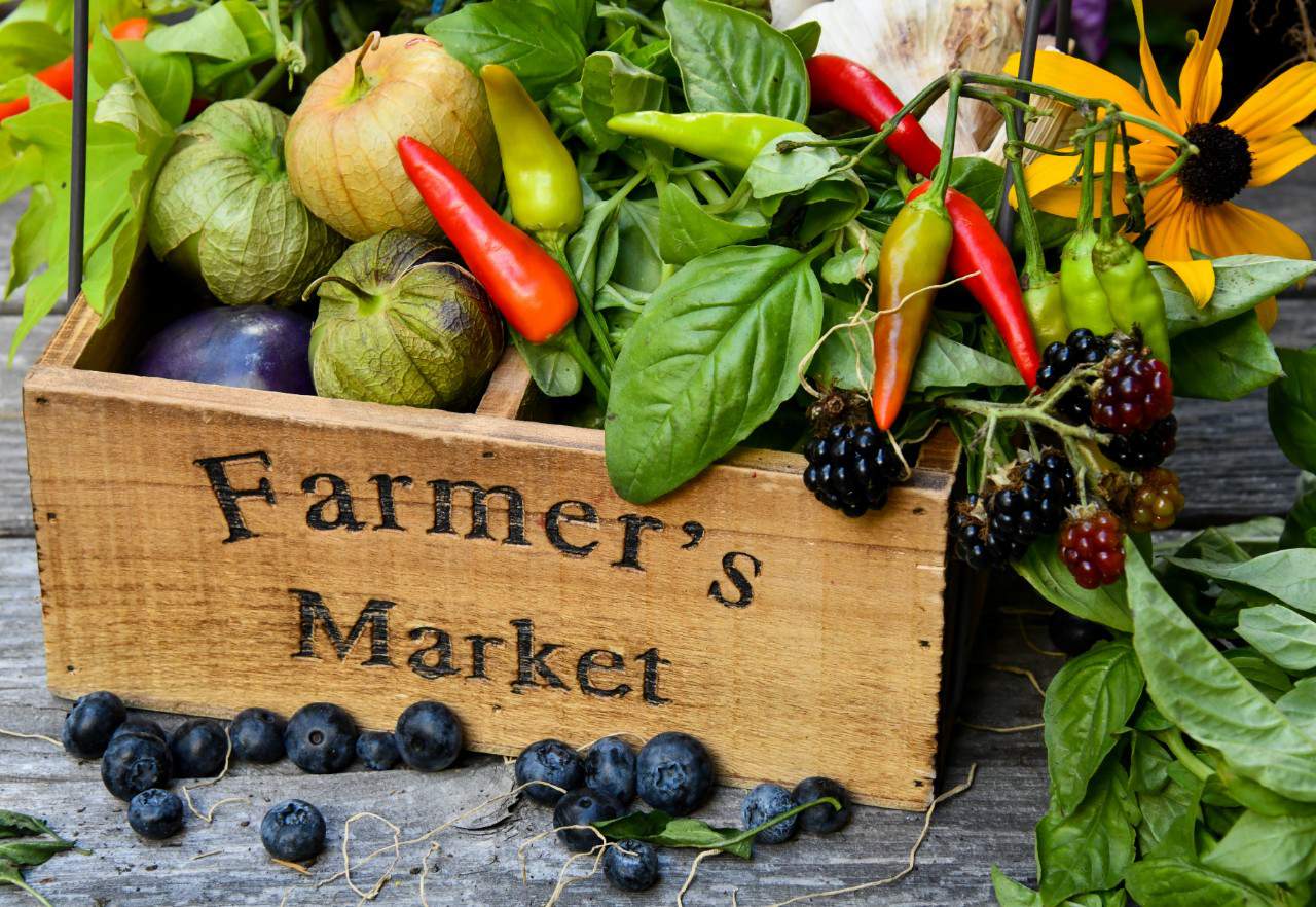 Farmer's Markets inception-app-prod/YWVkMGNhNDEtZTY5Zi00MmVhLWE0ODEtYzg5MjAzNjIzYzc5/content/2021/03/farmersmarket.jpg