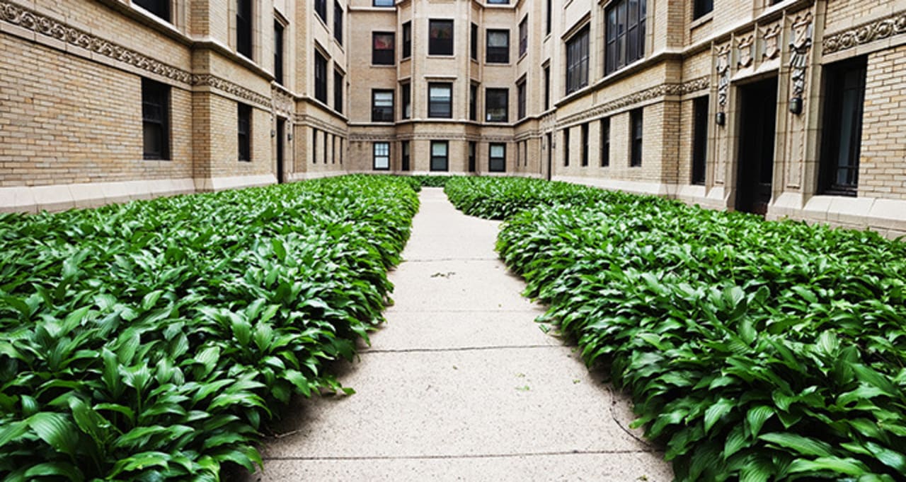 Rogers Park inception-app-prod/YWY0ODJlNTAtMmUyMS00YWI1LWE5OTQtNWM0NmMzMjM0ZDI3/content/2021/01/5e5d3d82-f74a-479c-a629-f7d85b00e67c.jpg