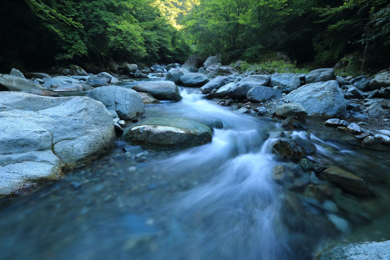 McKenzie River inception-app-prod/ZGJiY2Q3NWYtYWMwOC00YWQyLWFmMjAtMjY4MjFkNDI3YzMy/content/2022/04/0da3748263b462a2fa87e992cede7ea4729898f7.jpg