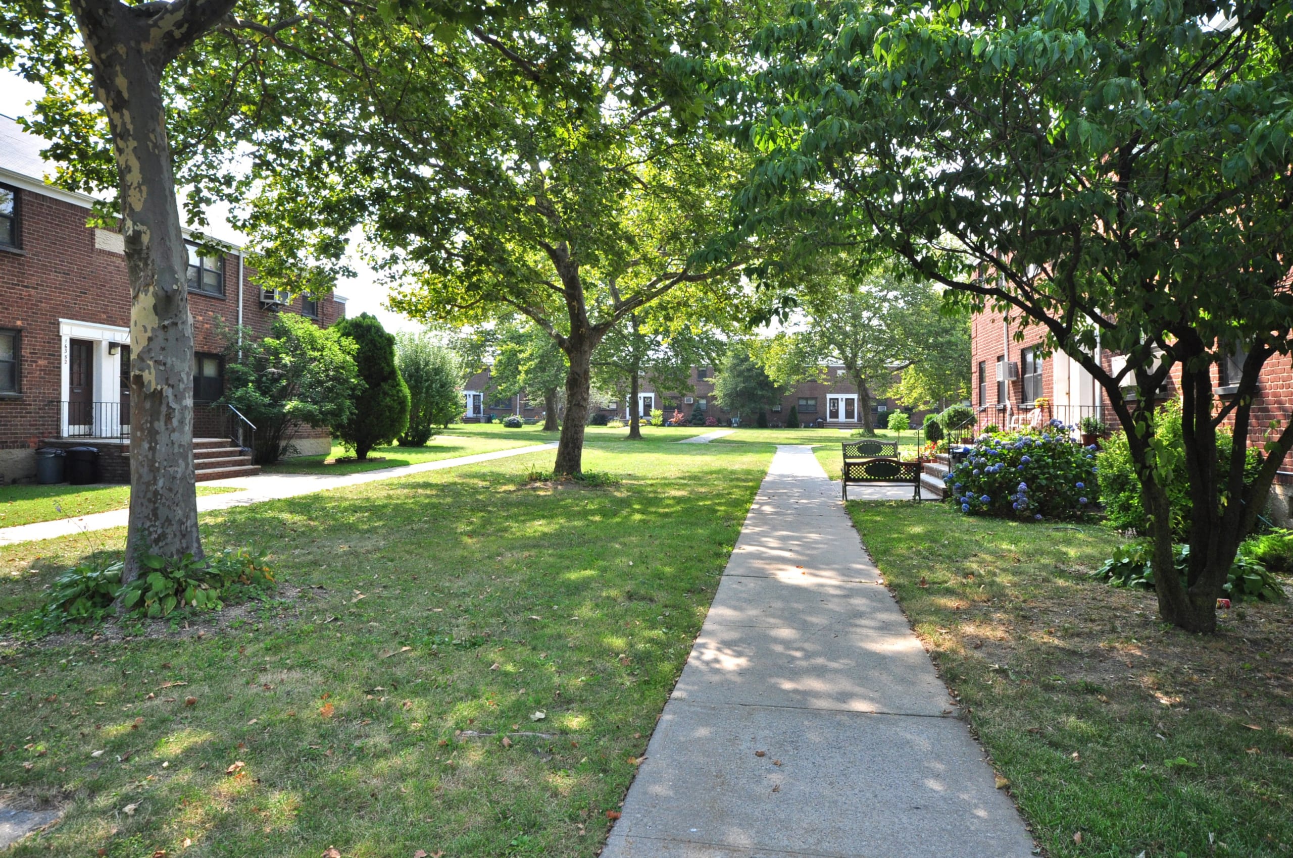 Clearview Gardens Coop Maintenance Fees Fasci Garden