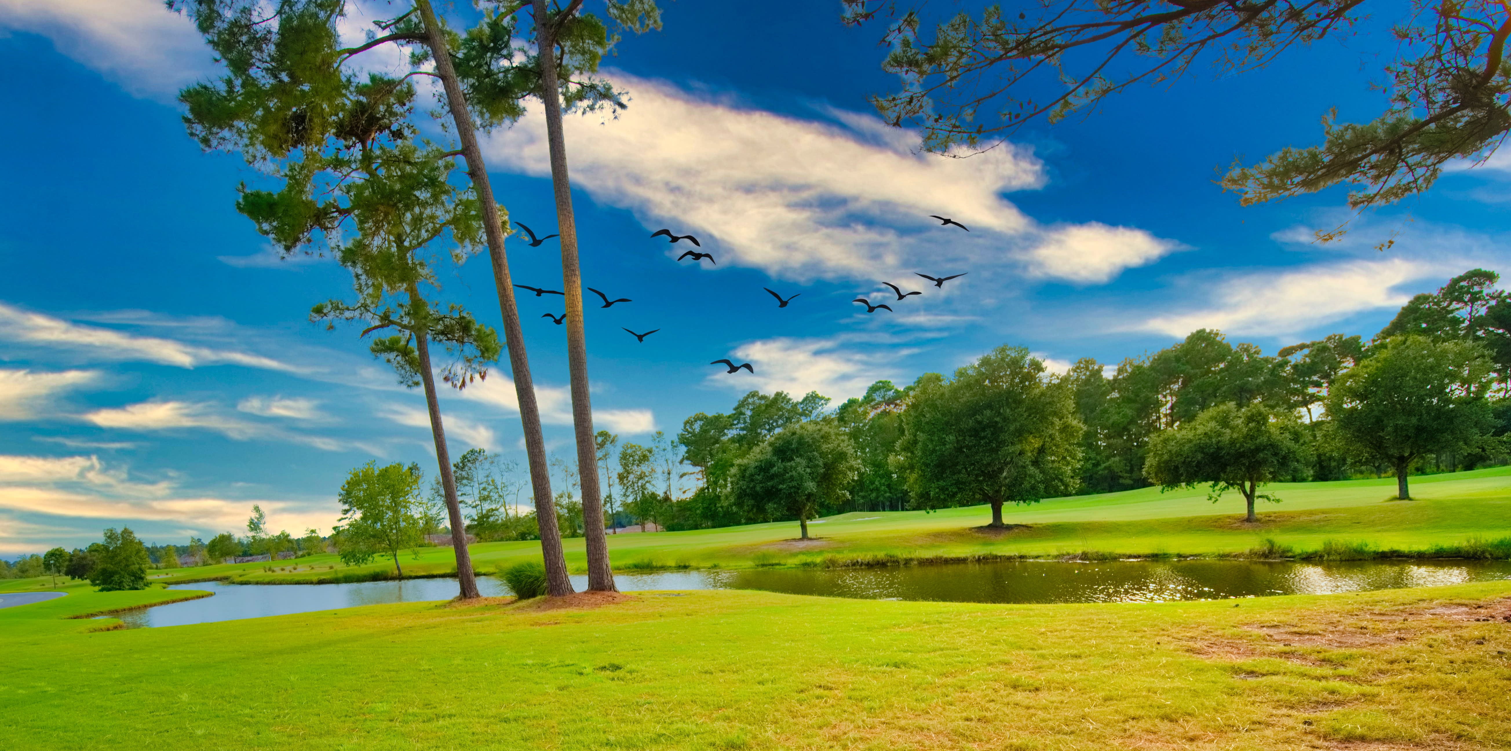 Crow Creek Land Lots Ocean Isle Beach Top Selling REALTOR