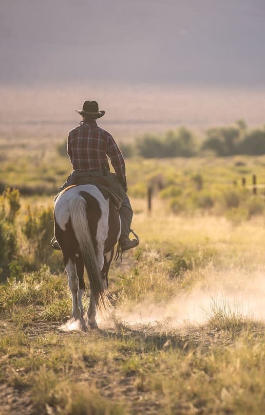 Sadler Land and Realty