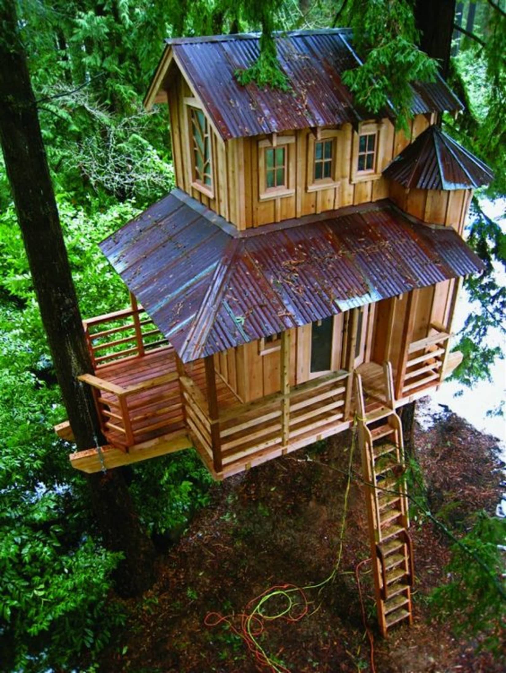 Extreme Treehouses, Not Just For Kids Extreme Treehouses, Not Just For Kids