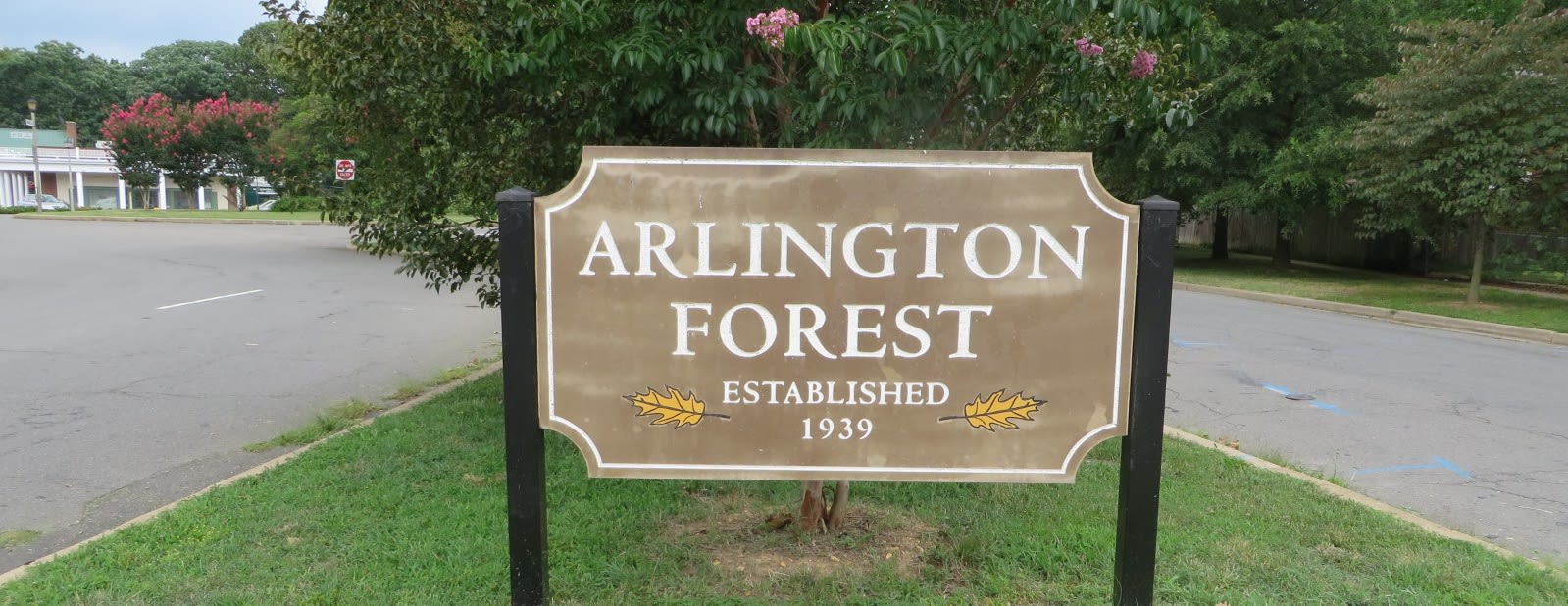 Arlington Forest