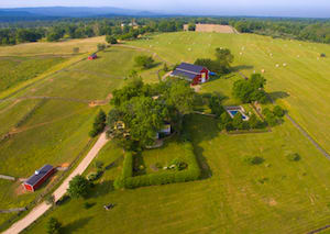 Berryville
