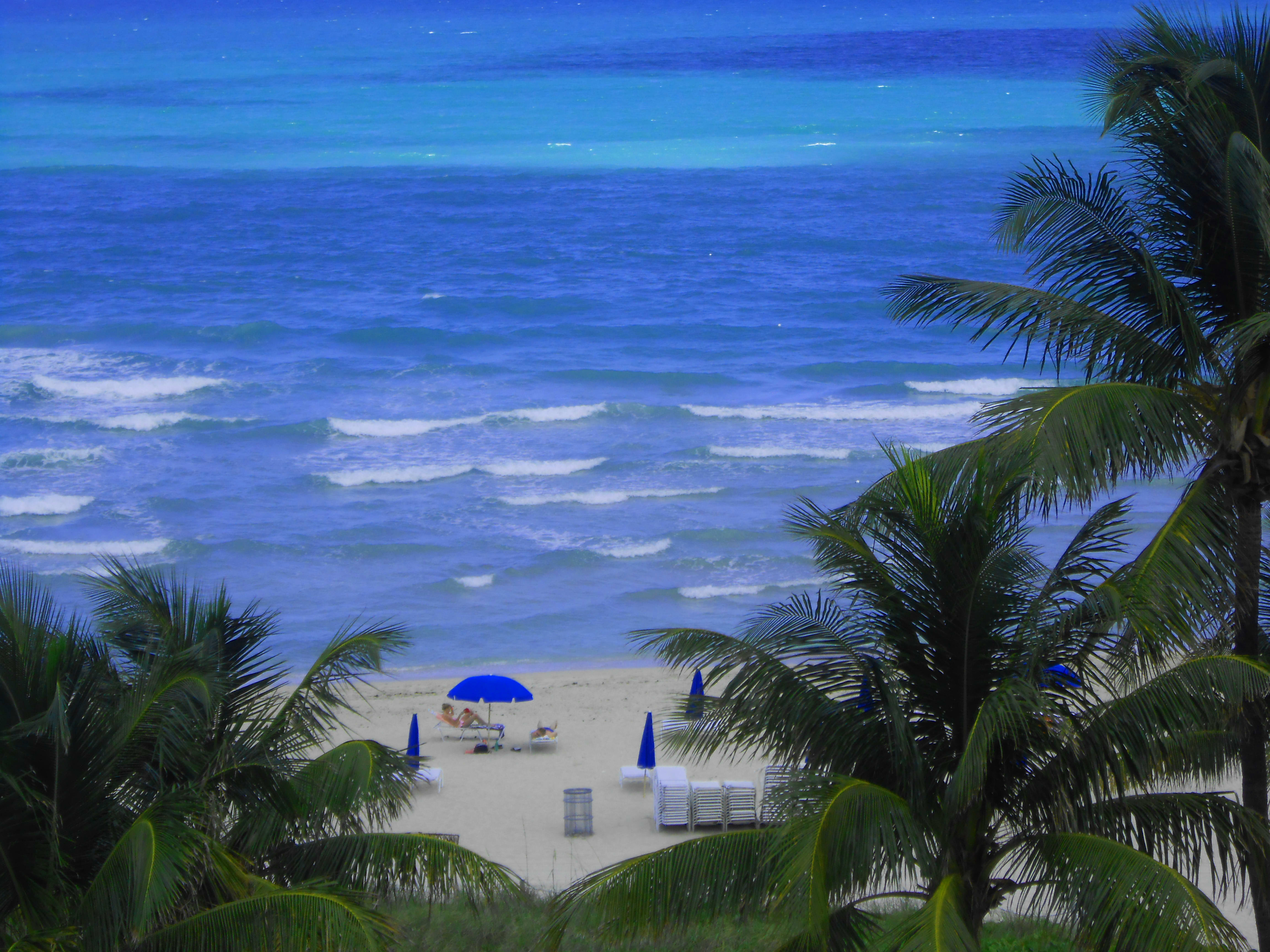 Lets talk about Miami.