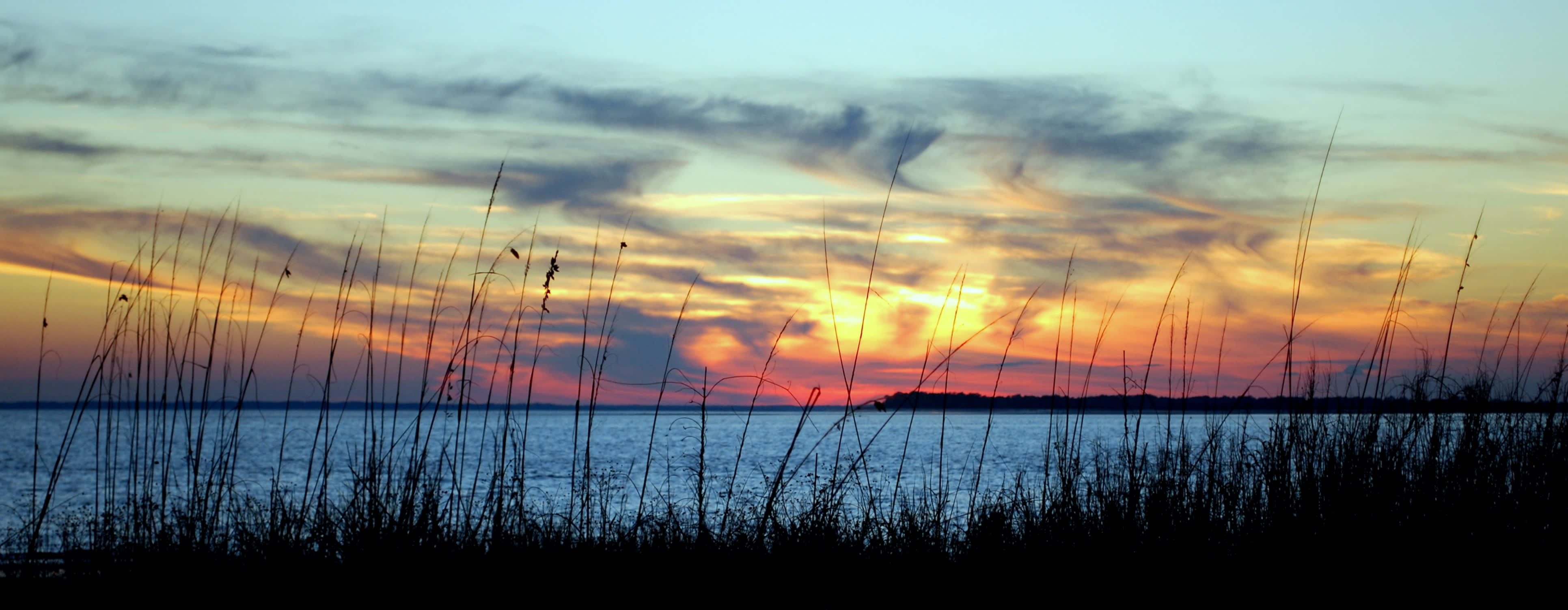 Edisto Island