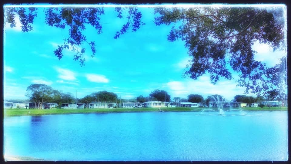 Zephyrhills, FL real estate /55+/selling and buying experts