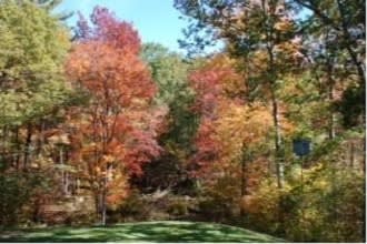 Fall In Nh Halloween And Apple Picking Time Bonnie Guevin