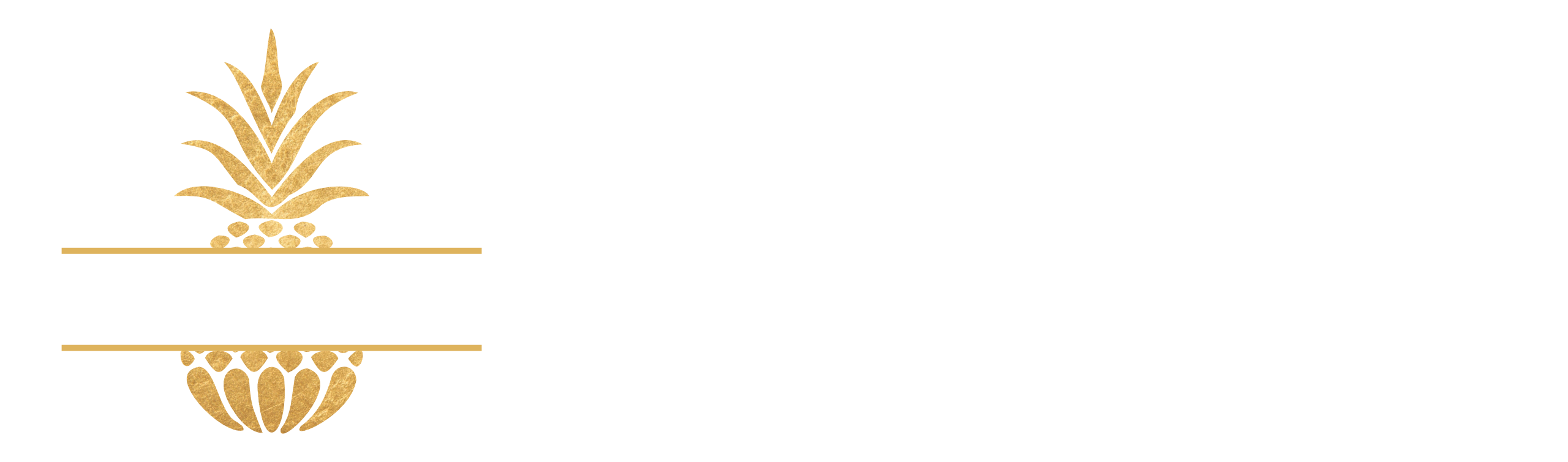 The O'Keeffe Team