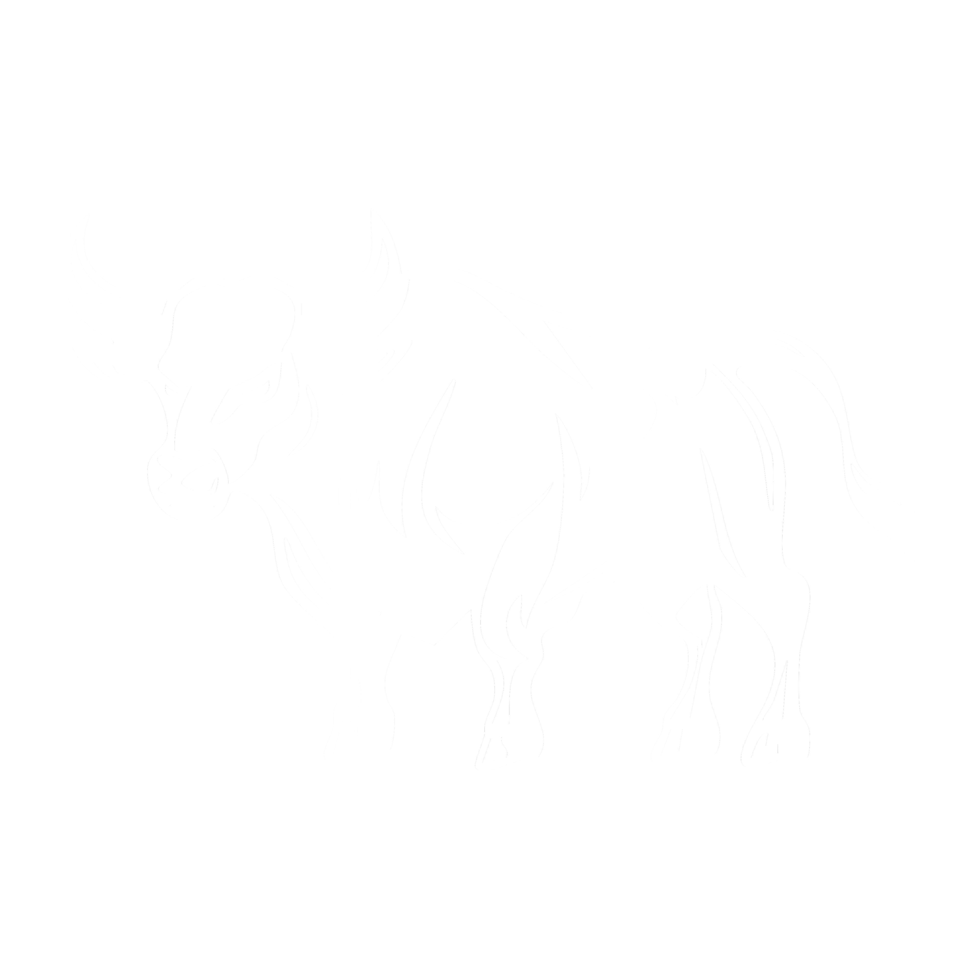 BRAMA REAL ESTATE GROUP