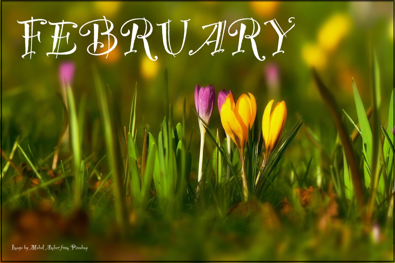 Long Events February 2021