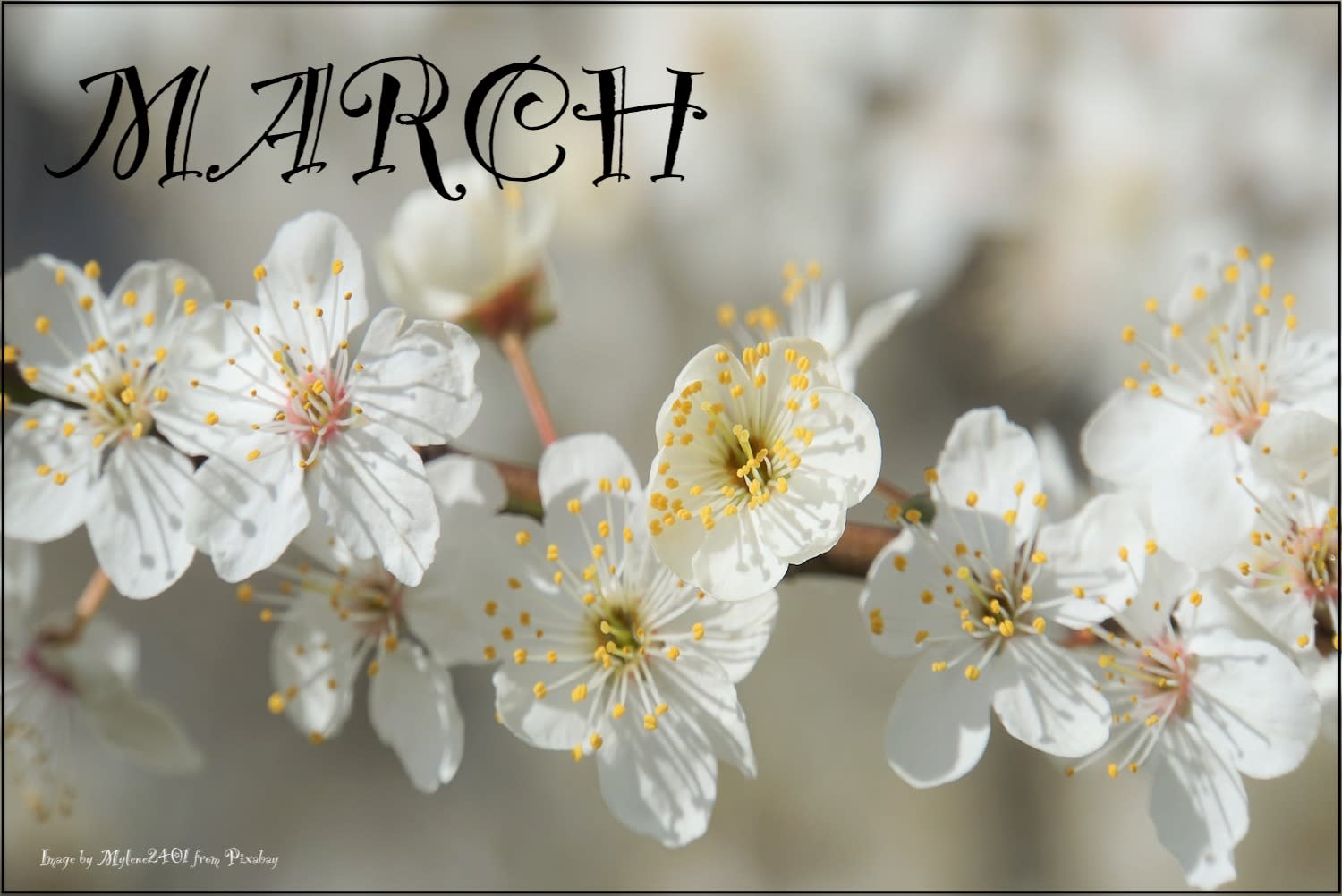 LONG BEACH EVENTS MARCH