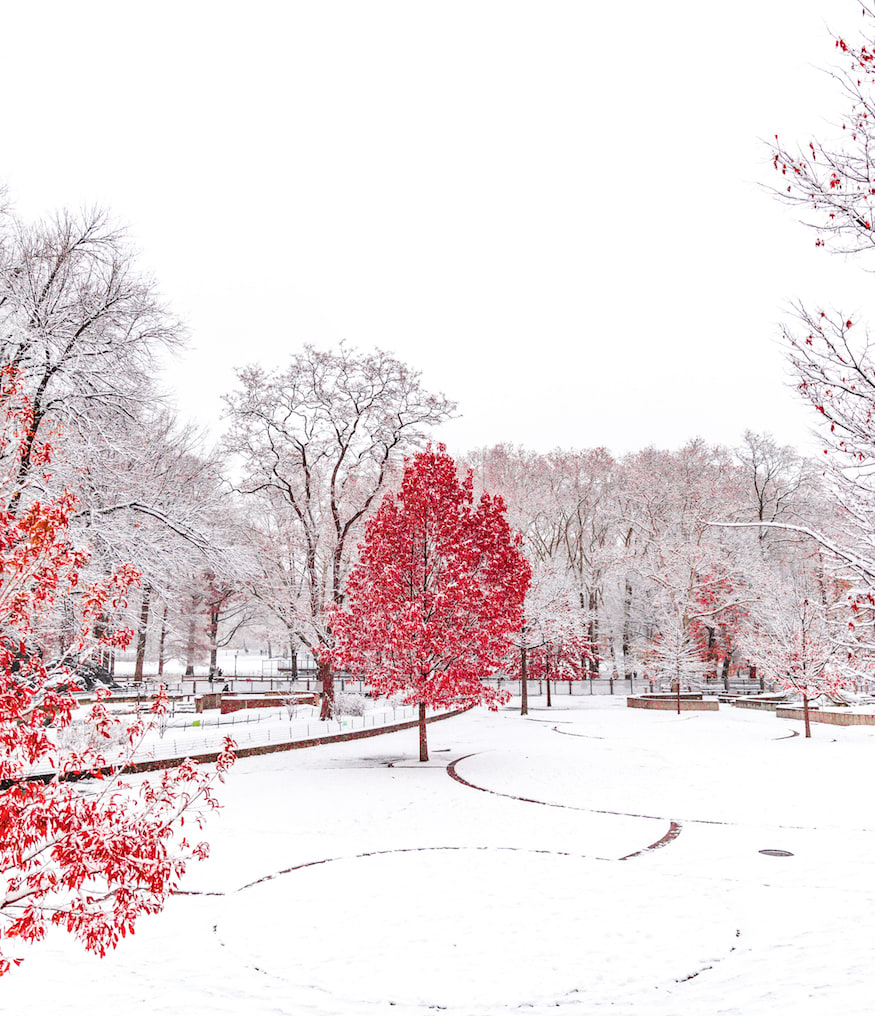 18 Tips For Winterizing Your Home The Cape House