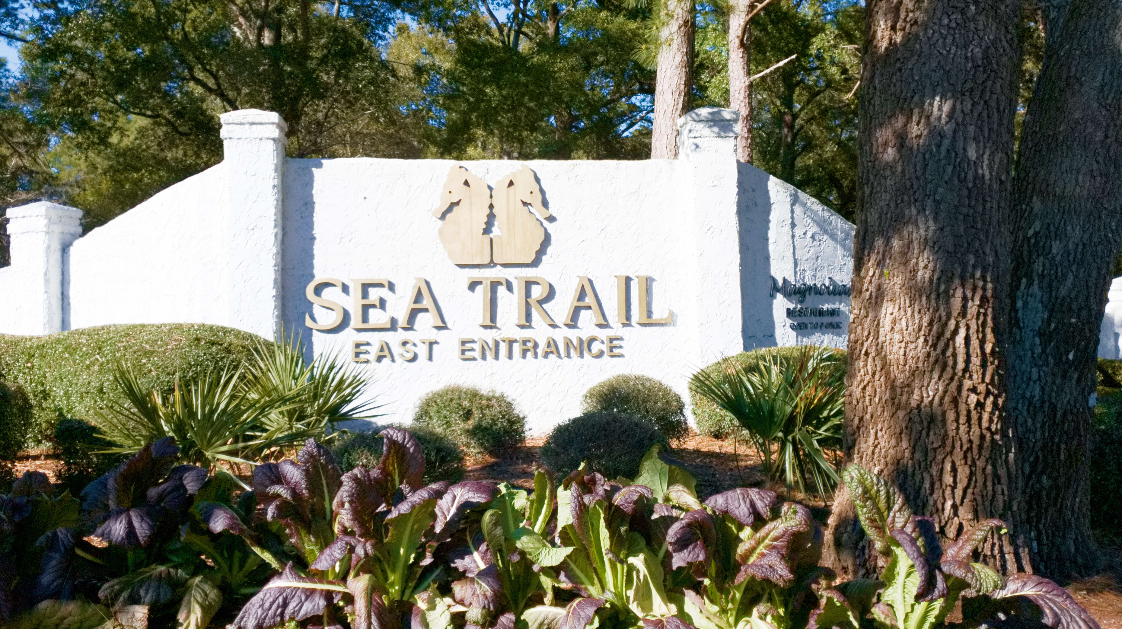 Sea Trail Plantation