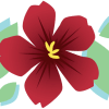 inception-app-prod/MDRiYTdlMGQtYzNkNC00OGUzLWFjNmEtZjQyN2QxZTdjYTU2/content/2020/12/floweronly-3.jpg