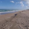 inception-app-prod/MDdkMWJkMzYtOTJhYy00NGRkLWFmMDUtODNiMmY3YmZkYzRj/content/2018/03/photo blind-creek-beach-300x225.jpg
