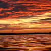 inception-app-prod/MDdkMWJkMzYtOTJhYy00NGRkLWFmMDUtODNiMmY3YmZkYzRj/content/2018/03/photo of st lucie river.jpg