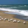inception-app-prod/MDdkMWJkMzYtOTJhYy00NGRkLWFmMDUtODNiMmY3YmZkYzRj%2Fmedia%2F2015%2F07%2Fjensen_beach_real_estate.jpg