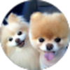 inception-app-prod/ZWZhODQxZjMtMjIxZC00YjkxLThlNWUtY2E1ODZkZTdhMmQ2/content/2024/12/b6ff9abfeaec95b4139a3ef905c3454c07c34193.png