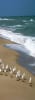 inception-app-prod/MDdkMWJkMzYtOTJhYy00NGRkLWFmMDUtODNiMmY3YmZkYzRj%2Fmedia%2F2015%2F07%2Fjensen_beach_real_estate.jpg