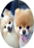 inception-app-prod/ZWZhODQxZjMtMjIxZC00YjkxLThlNWUtY2E1ODZkZTdhMmQ2/content/2024/12/b6ff9abfeaec95b4139a3ef905c3454c07c34193.png