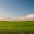 inception-app-prod/ZmFmNmJjNDItMjI0Zi00Y2FjLTgwOTctNTc5MGJjZDYzYWI2/content/2021/07/agriculture-countryside-crop-cropland-388415.jpg
