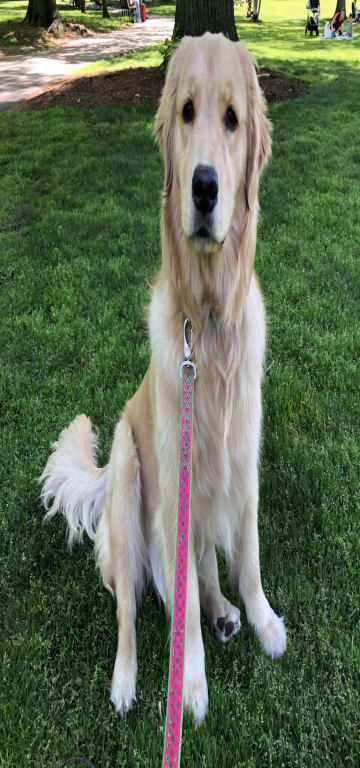 inception-app-prod/NmRjZWExNTMtNDg4Ny00YWJjLWIxOTktMTI0NDU5M2NkNDg1/content/2021/06/IMG_4760 %281%29.JPG