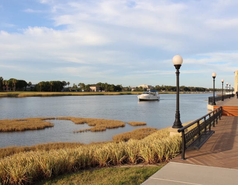 Scenic Intracoastal Waterway shoreline in Palm Coast