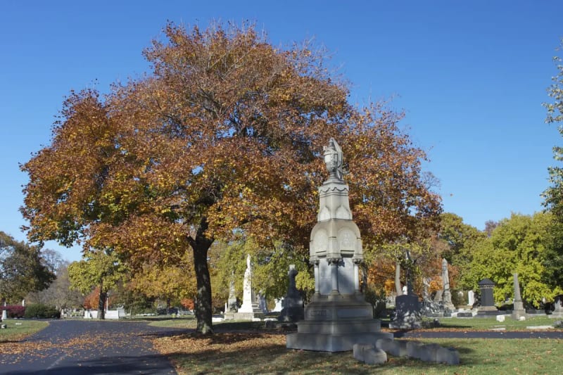 Orange and gold autumn tree beside a carved stone monument on a lawn at Graceland Cemetery in Chicago
