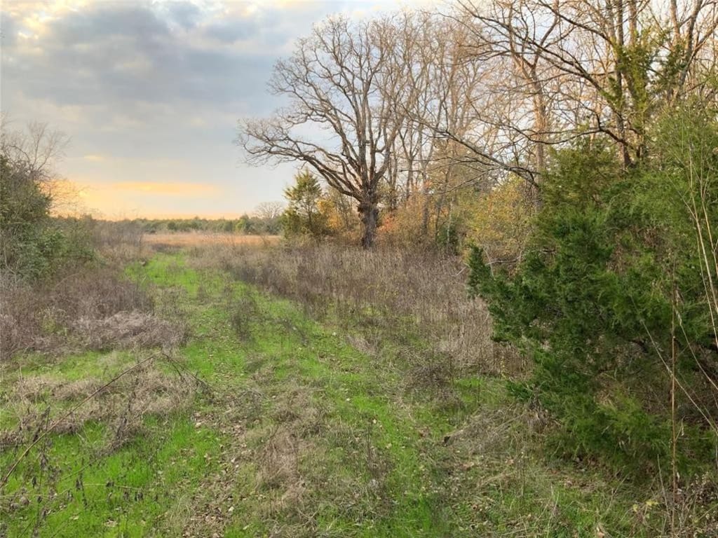 Lcounty Rd # 406 Mexia, TX 76667 inception-app-prod/ZTBjMjU3YTYtM2E4OS00YmI0LWJmNzYtMzRjYWQyMGY5NWUx/content/2021/10/708ff8f0f68442897c5ab2e712a109c98b30e711.png