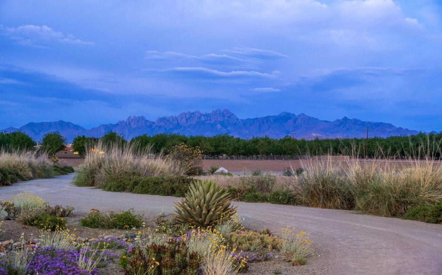 Our Mission inception-app-prod/YzhkMjFkYzYtYTY0OC00ODhkLTgwM2ItM2Q2YTQ2Nzk5ZTky/content/2025/09/79454da96eeb15af2c131f12d2b0503e863afb7d.jpg