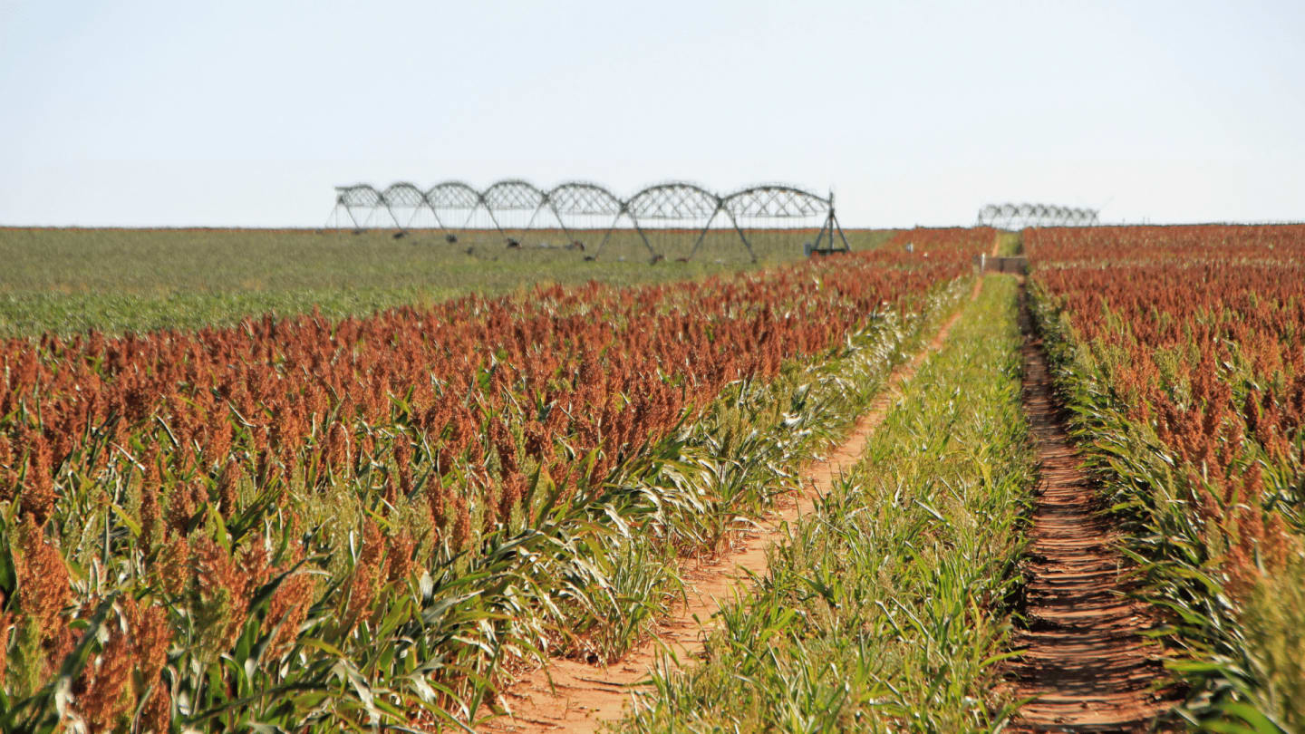 Sadler Land and Realty EXPERIENCE YOU CAN TRUST!