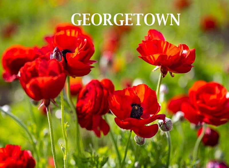 Georgetown inception-app-prod/NzAzNDdmODQtMDQ2OS00MjNkLTllYWYtZTlmODNlNzExNTdh/content/2026/05/c330c4303ad85a0a8b83466c90027b8915bcfee8.jpg