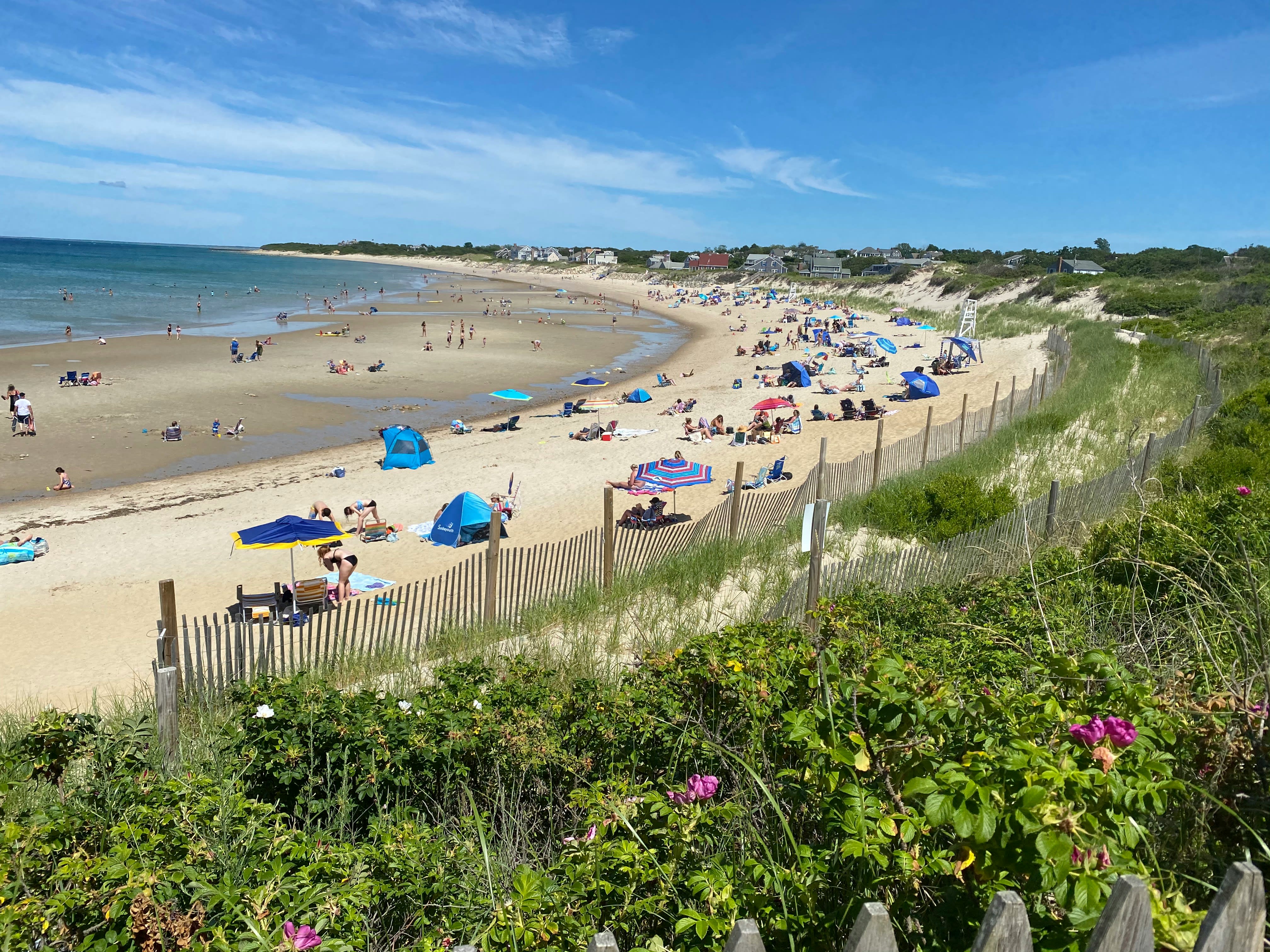 Plan Your Cape Cod Move inception-app-prod/ODkzZWM5M2YtMTI0Ny00ZGY5LWEzNzMtNTIzMDlkOTU0Nzgw/content/2026/06/01231081eea995170e917d09ee48845e6469759c.jpg