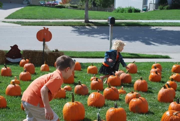 Pumpkin patch memory